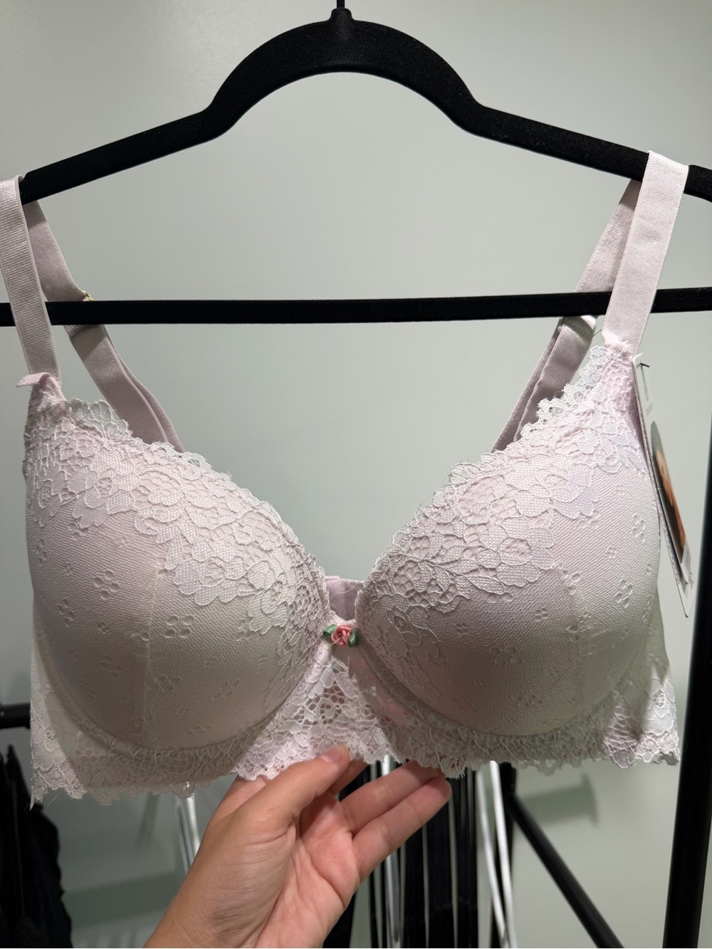 Daisy Fuentes Pale Pink Lace Push-Up Bra